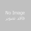 اطلاع رسانی